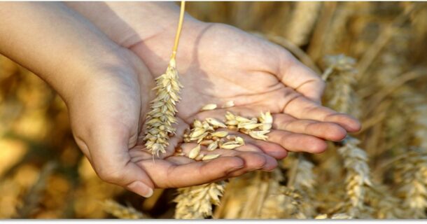 Soutenir l&rsquo;Eglise protestante unie d&rsquo;Annonay